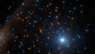 infuture, фото - Новости Zakon.kz от 17.04.2020 07:51