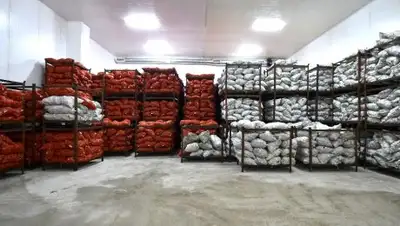 Пресс-служба акима ЮКО, фото - Новости Zakon.kz от 08.12.2017 16:36