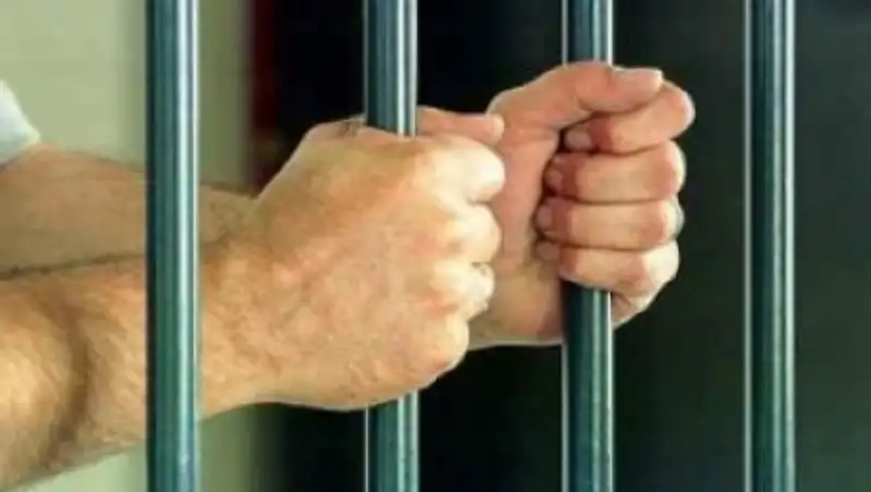 В Алматинской области выявлено 210 наркопреступлений в текущем году