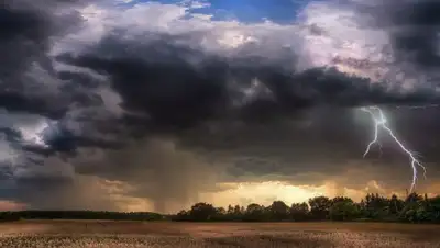 grodnonews.by, фото - Новости Zakon.kz от 22.07.2020 19:04