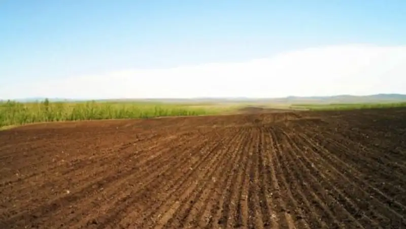 Мажилисмен прокомментировал распространяемую информацию о поправках по земельному вопросу