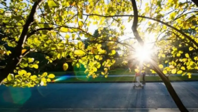 Теплая осенняя погода сохранится в РК в ближайшие трое суток