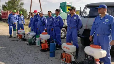 Туркестанская областная региональная служба коммуникации, фото - Новости Zakon.kz от 27.06.2019 12:14