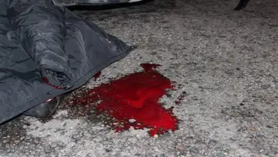 zakon.kz, фото - Новости Zakon.kz от 16.04.2018 15:53