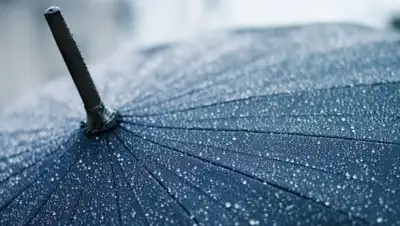 Zakon.kz, фото - Новости Zakon.kz от 16.06.2017 12:00