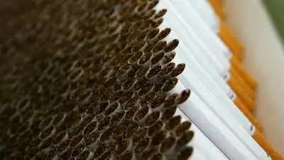 Zakon.kz, фото - Новости Zakon.kz от 13.11.2017 11:56