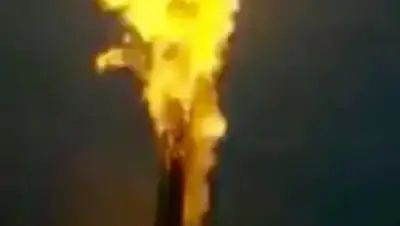 Zakon.kz, фото - Новости Zakon.kz от 29.12.2016 20:17