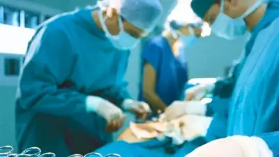 Zakon.kz, фото - Новости Zakon.kz от 03.08.2015 18:22