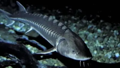 Zakon.kz, фото - Новости Zakon.kz от 19.08.2015 15:03