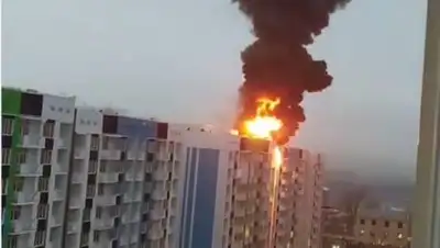 кадр из видео, фото - Новости Zakon.kz от 12.01.2021 19:06