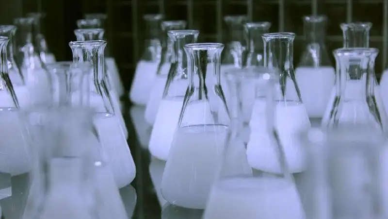 Экологи изучают белую воду в протоке Иртыша