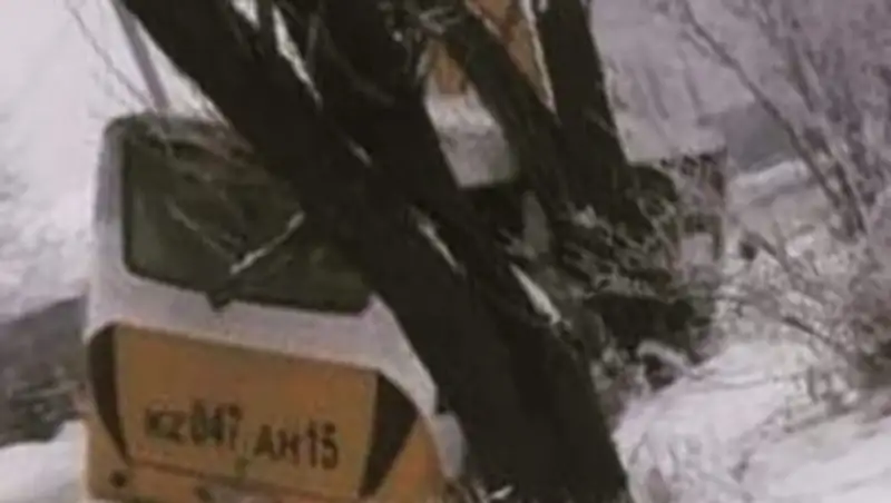 В Петропавловске автобус упал на деревья