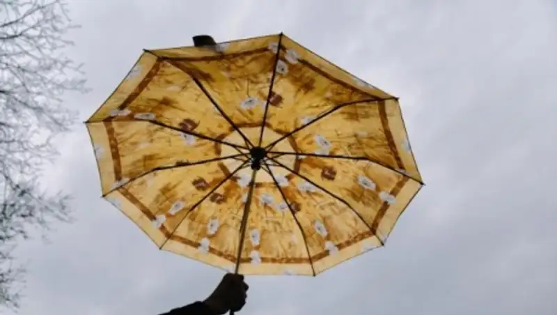 Прогноз погоды на июнь: синоптики предупреждают о двух волнах похолодания