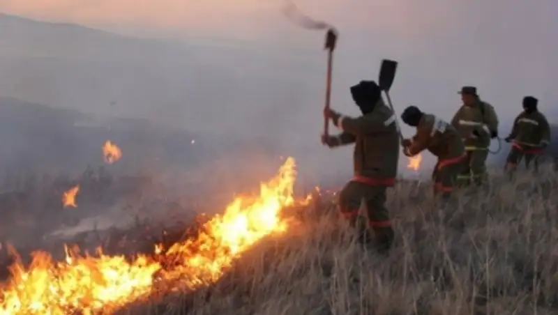 Павлодар облысында &#1257;рт &#1179;ауіпсіздігін са&#1179;тама&#1171;андар жазаланды