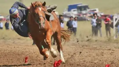 Zakon.kz, фото - Новости Zakon.kz от 06.09.2016 01:28