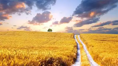 Zakon.kz, фото - Новости Zakon.kz от 27.04.2014 16:42