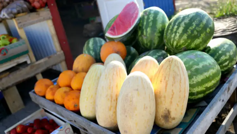 Безопасно ли алматинцам есть арбузы и дыни в середине июля