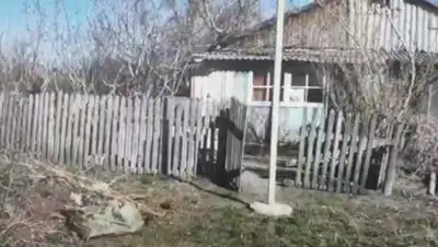 Кадр из видео, фото - Новости Zakon.kz от 13.05.2020 11:15