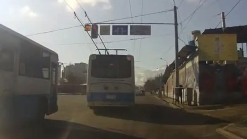 Алматинец сравнил манеру езды пассажирского транспорта с животным миром