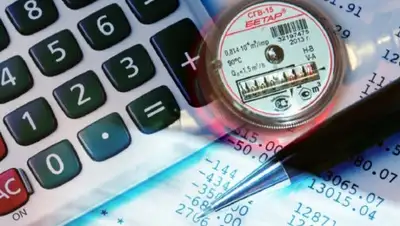 platon.asia, фото - Новости Zakon.kz от 13.08.2020 11:35