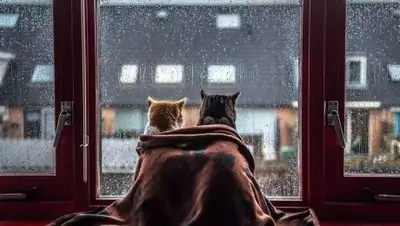 из открытых источников, фото - Новости Zakon.kz от 23.03.2018 09:54