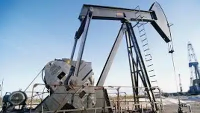 Zakon.kz, фото - Новости Zakon.kz от 09.12.2014 18:44