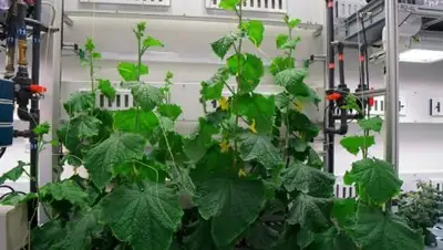 Publika.md, фото - Новости Zakon.kz от 07.04.2018 01:41