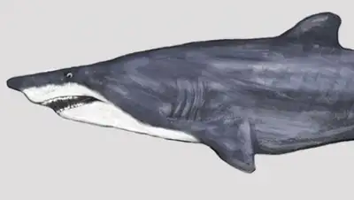 Zakon.kz, фото - Новости Zakon.kz от 05.06.2015 05:45