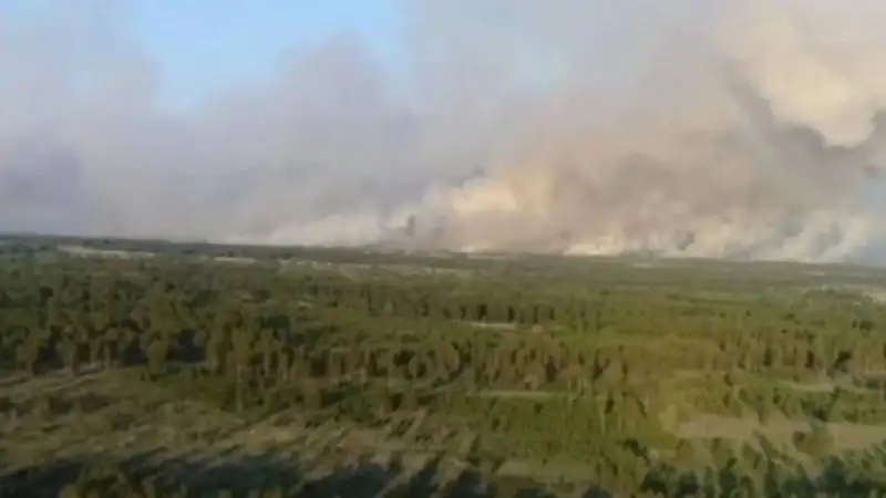 В Абайской области удалось остановить возгорание , фото - Новости Zakon.kz от 23.05.2023 14:30