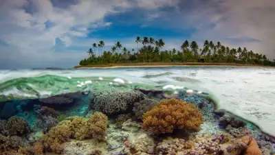 bigpicture.ru, фото - Новости Zakon.kz от 29.03.2020 10:54