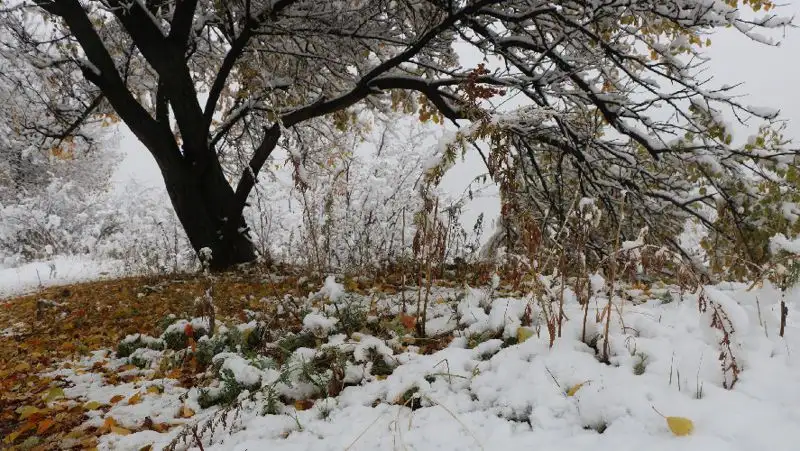 В выходные дни в Казахстане ожидается похолодание