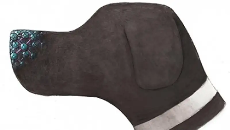 Ученые создали сверхчувствительный нос