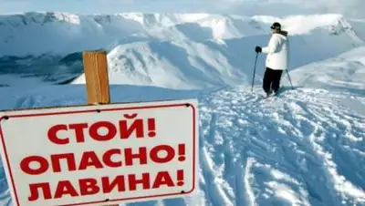 sochi.com, фото - Новости Zakon.kz от 11.02.2021 11:15