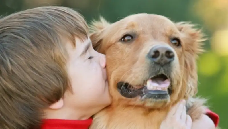 В Актау ограничат количество собак в квартирах
