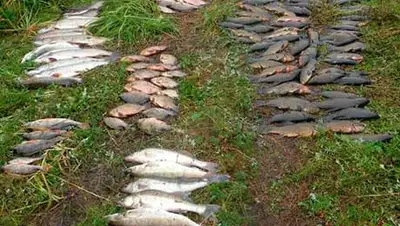 Zakon.kz, фото - Новости Zakon.kz от 25.10.2013 23:25