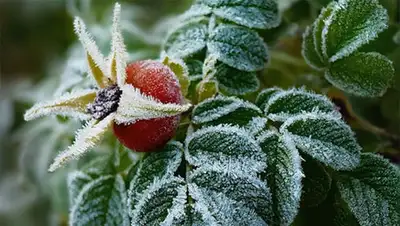 Zakon.kz, фото - Новости Zakon.kz от 12.09.2014 15:28