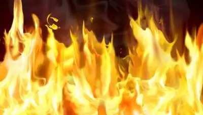 Zakon.kz, фото - Новости Zakon.kz от 11.01.2017 14:10