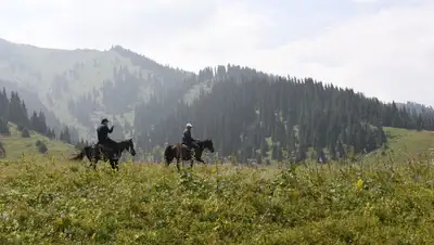 туристы, Алматы, конная прогулка