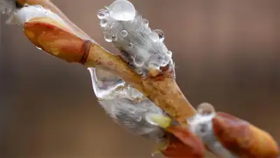 Zakon.kz, фото - Новости Zakon.kz от 18.04.2014 19:49