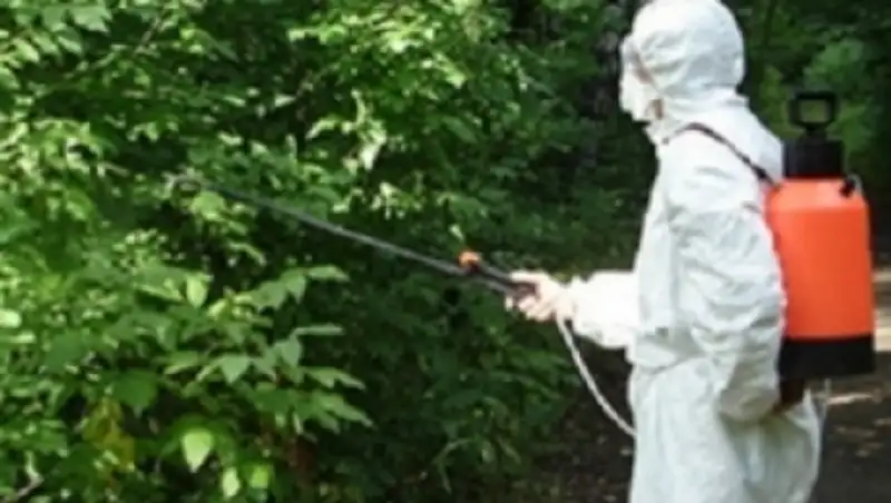 В Алматы все 8 районов города охвачены противоклещевой обработкой