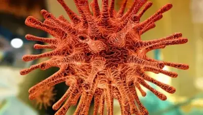 pixabay.com, фото - Новости Zakon.kz от 31.03.2020 21:39