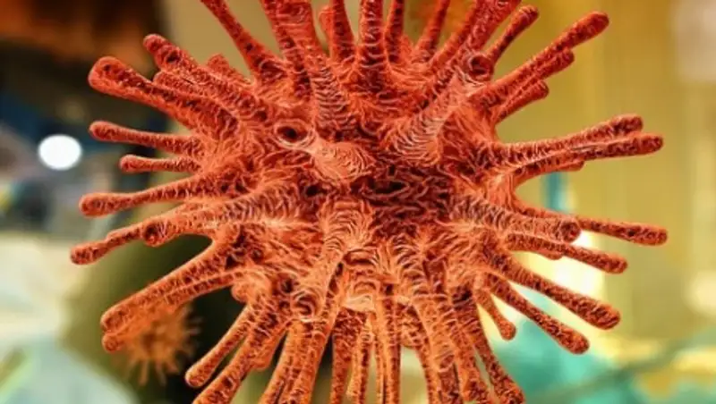 Токаев поддержал заразившихся COVID-19 граждан Казахстана