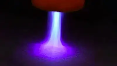 Wirz Research Group, UCLA, фото - Новости Zakon.kz от 12.11.2020 11:47