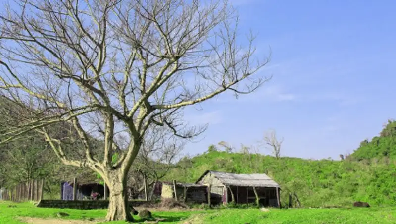 Погода без осадков ждет казахстанцев 8 мая