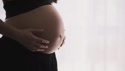 pixabay, фото - Новости Zakon.kz от 10.02.2019 15:07