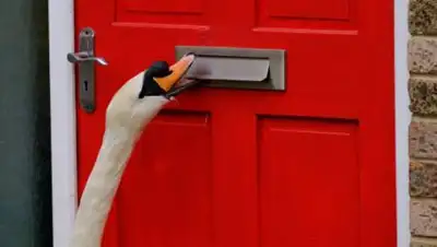 SWNS, фото - Новости Zakon.kz от 30.03.2021 11:53