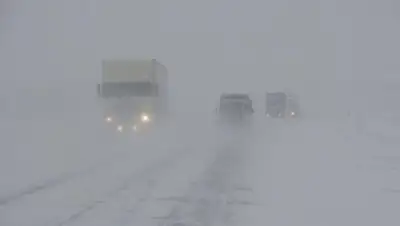 51.rodina.news/today, фото - Новости Zakon.kz от 07.02.2019 19:35