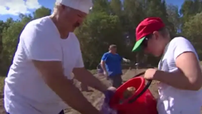 А. Лукашенко с сыном накопал в своей резиденции 70 мешков картофеля 