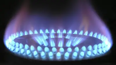 pixabay.com, фото - Новости Zakon.kz от 28.03.2019 13:02