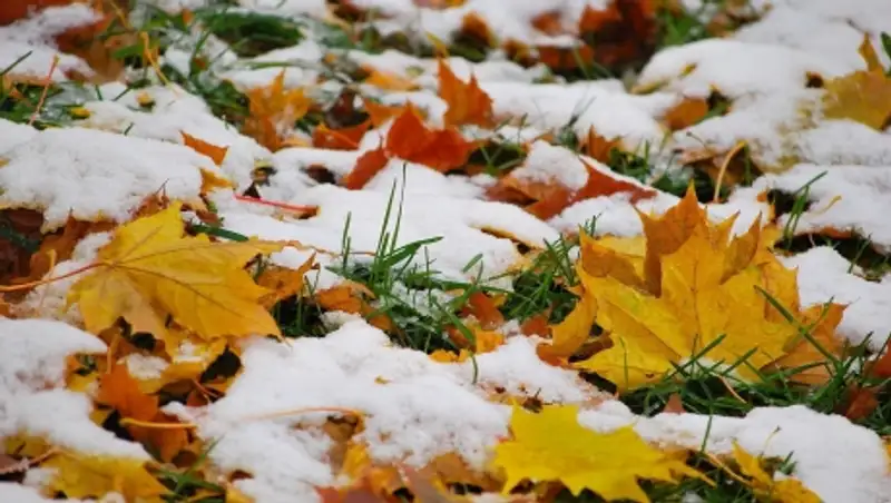 23 октября в северной и северо-восточной части Казахстана сохраняются осадки и гололед